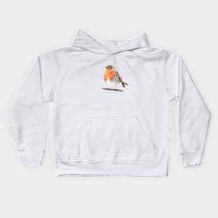 Cute robin bird painting Kids Hoodie